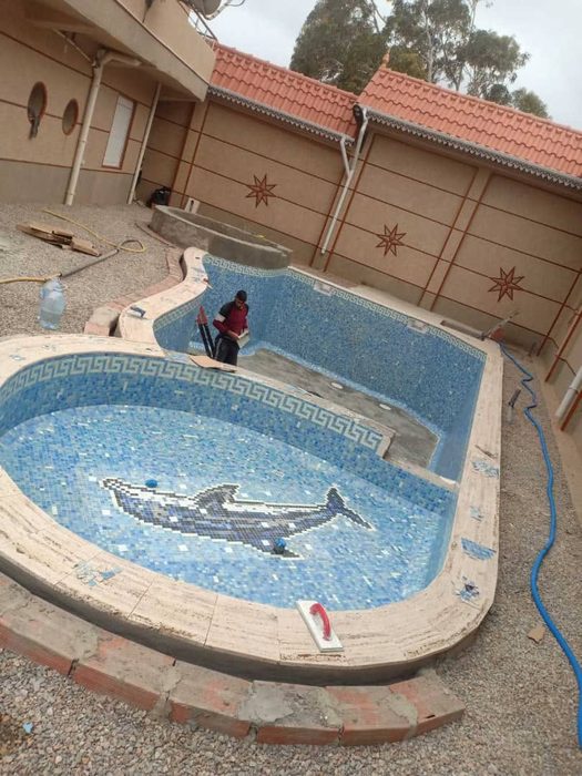 Piscine et pataugeoire, dauphin et frise grecque, cristal